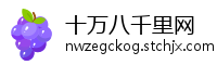 十万八千里网
